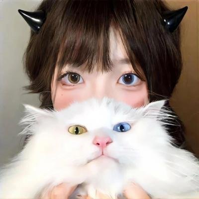 骆驼献舞